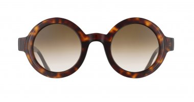 Tortoise Shell with Brown